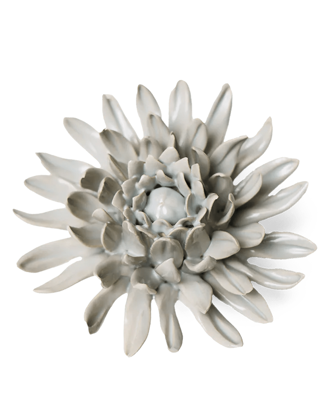 English Garden Ceramic Flower Mint Mum - Chive UK