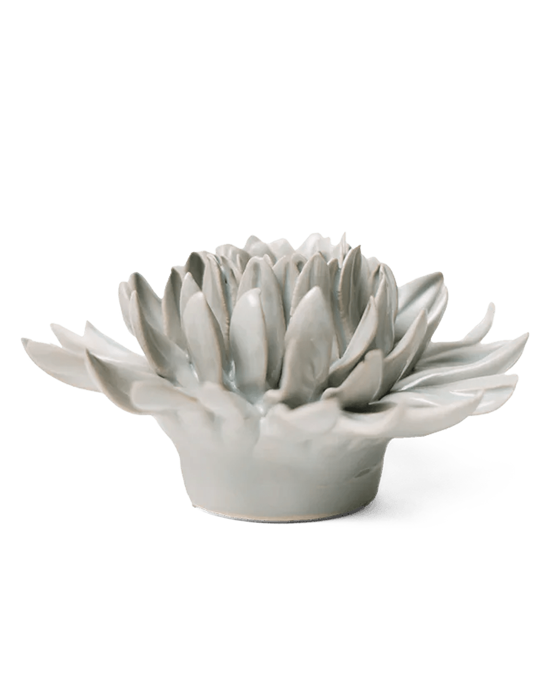 English Garden Ceramic Flower Mint Mum - Chive UK