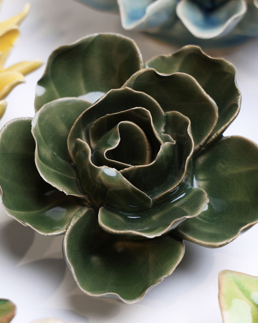 Fir Green Butterfly Ranunculus - Chive UK