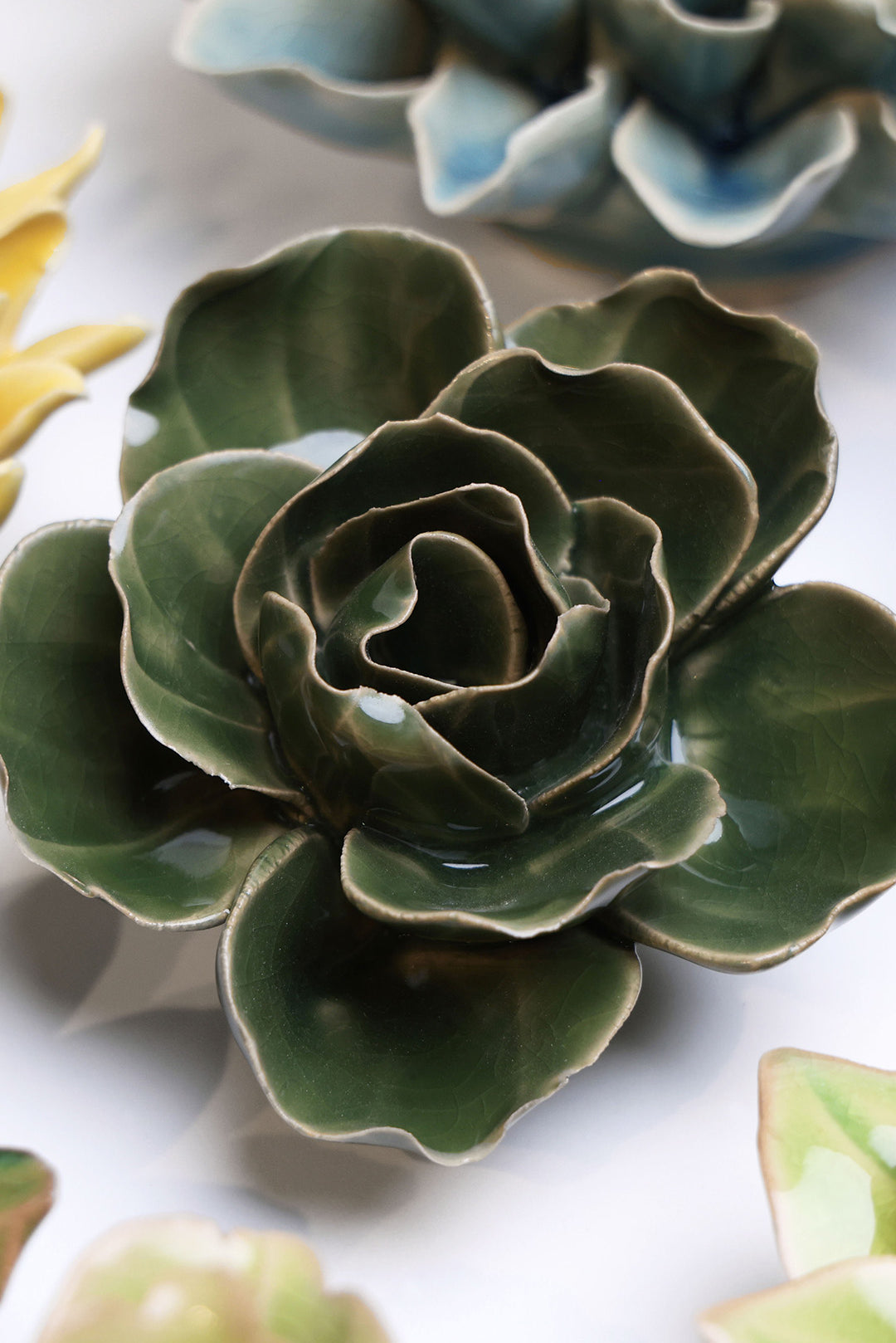 Fir Green Butterfly Ranunculus - Chive UK