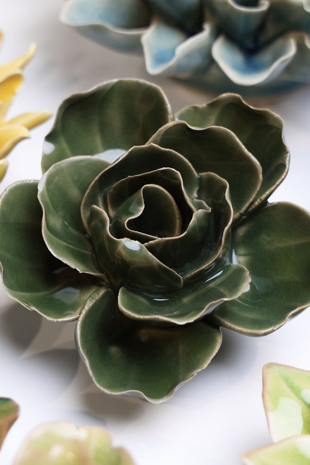 Fir Green Butterfly Ranunculus - Chive UK