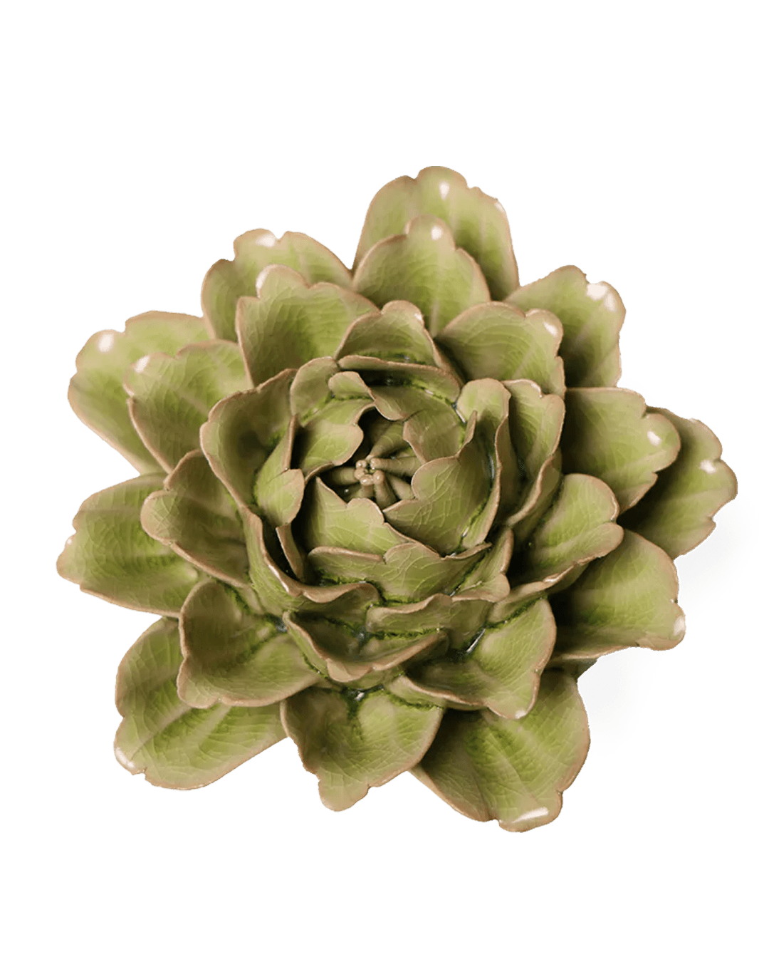 English Garden Ceramic Flower Green Tree Peony - Chive UK