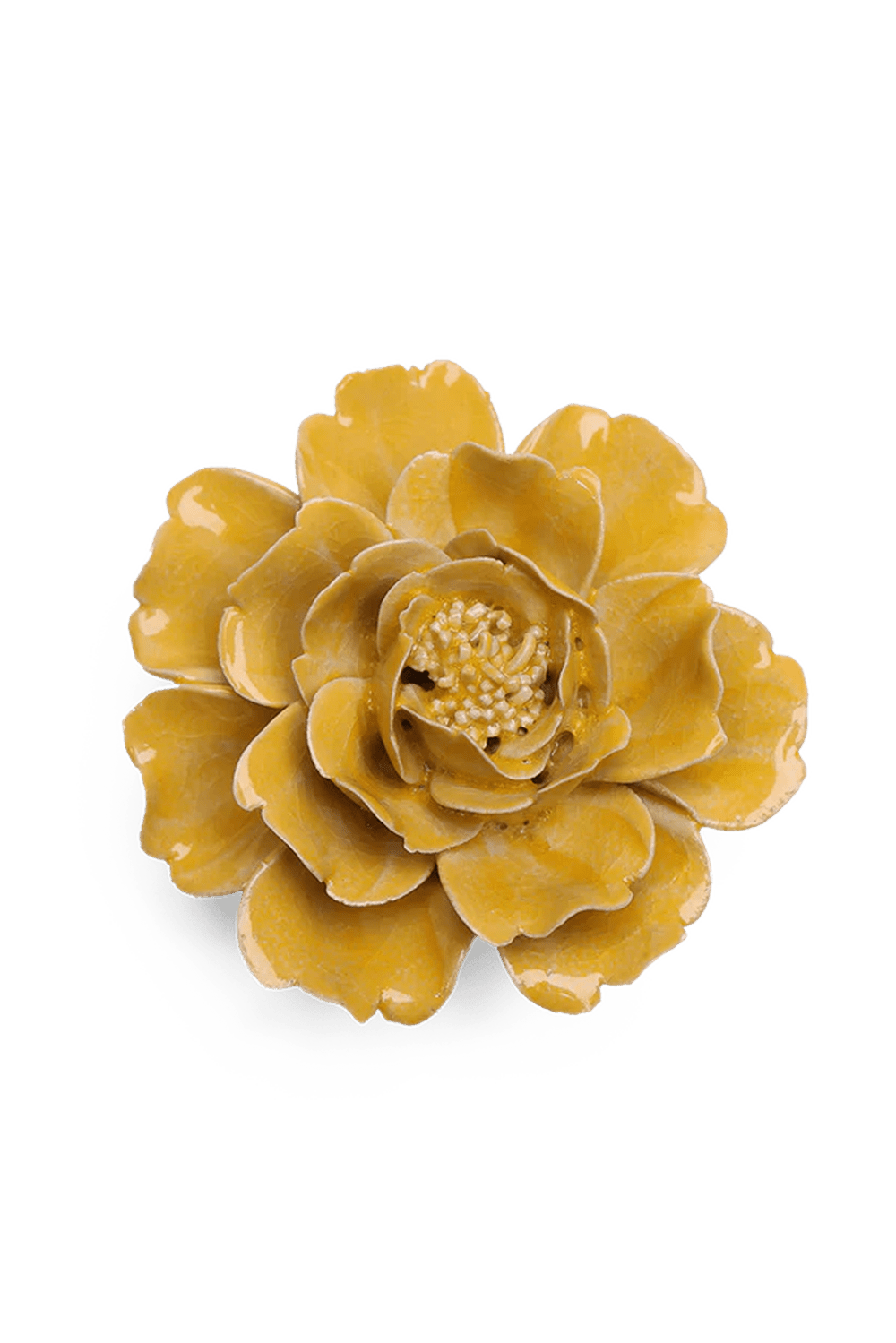 June Birth Flower - Rose - Chive UK