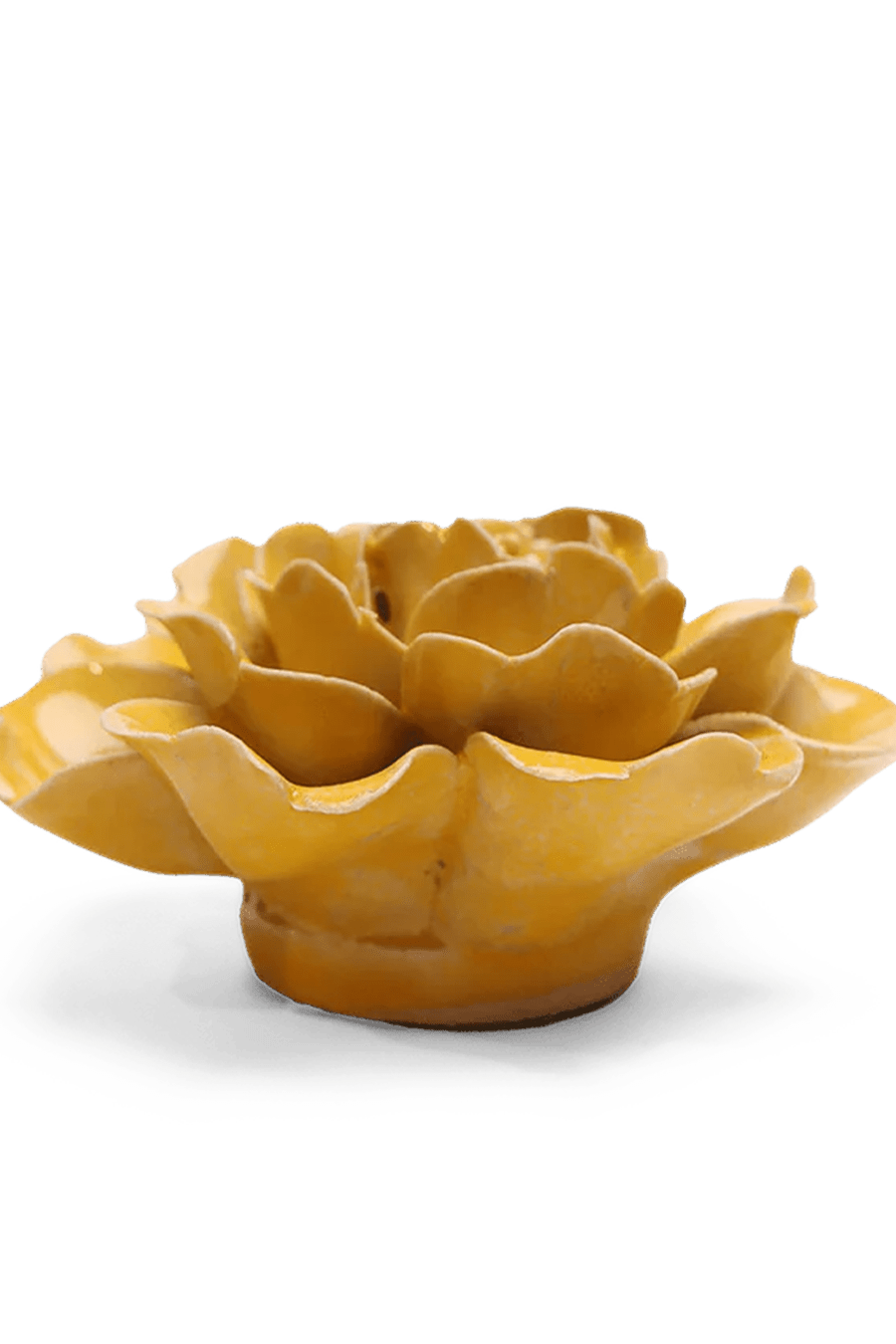 June Birth Flower - Rose - Chive UK