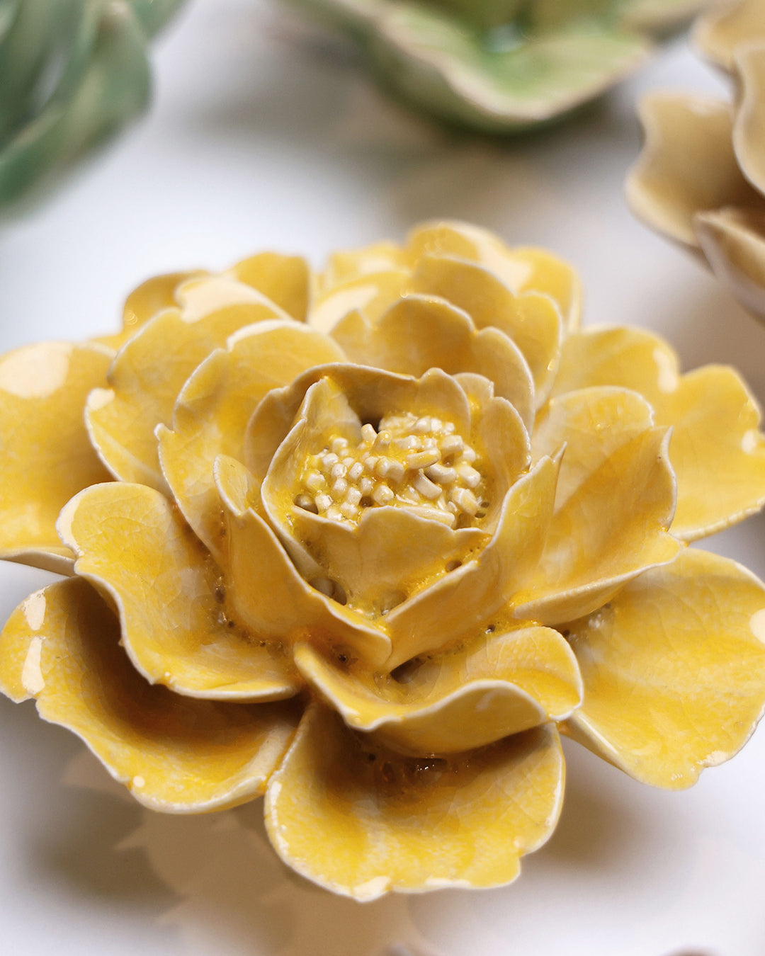 Burnt Yellow Rose - Chive UK