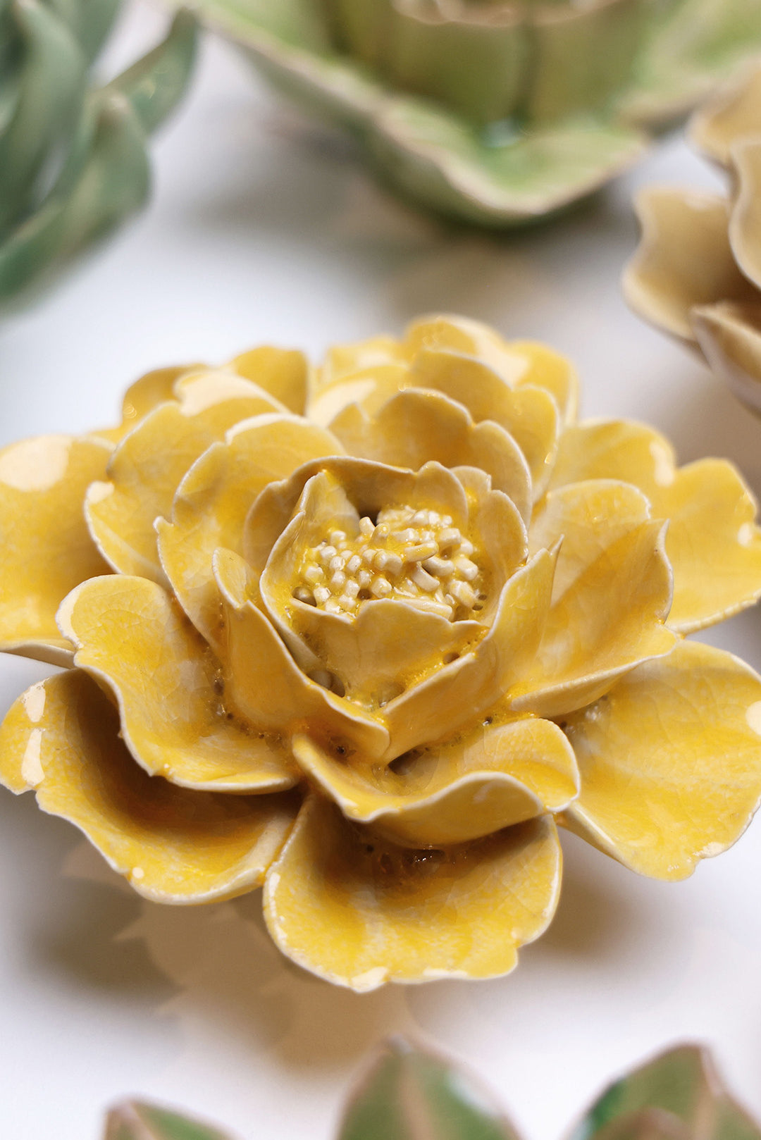 Burnt Yellow Rose - Chive UK