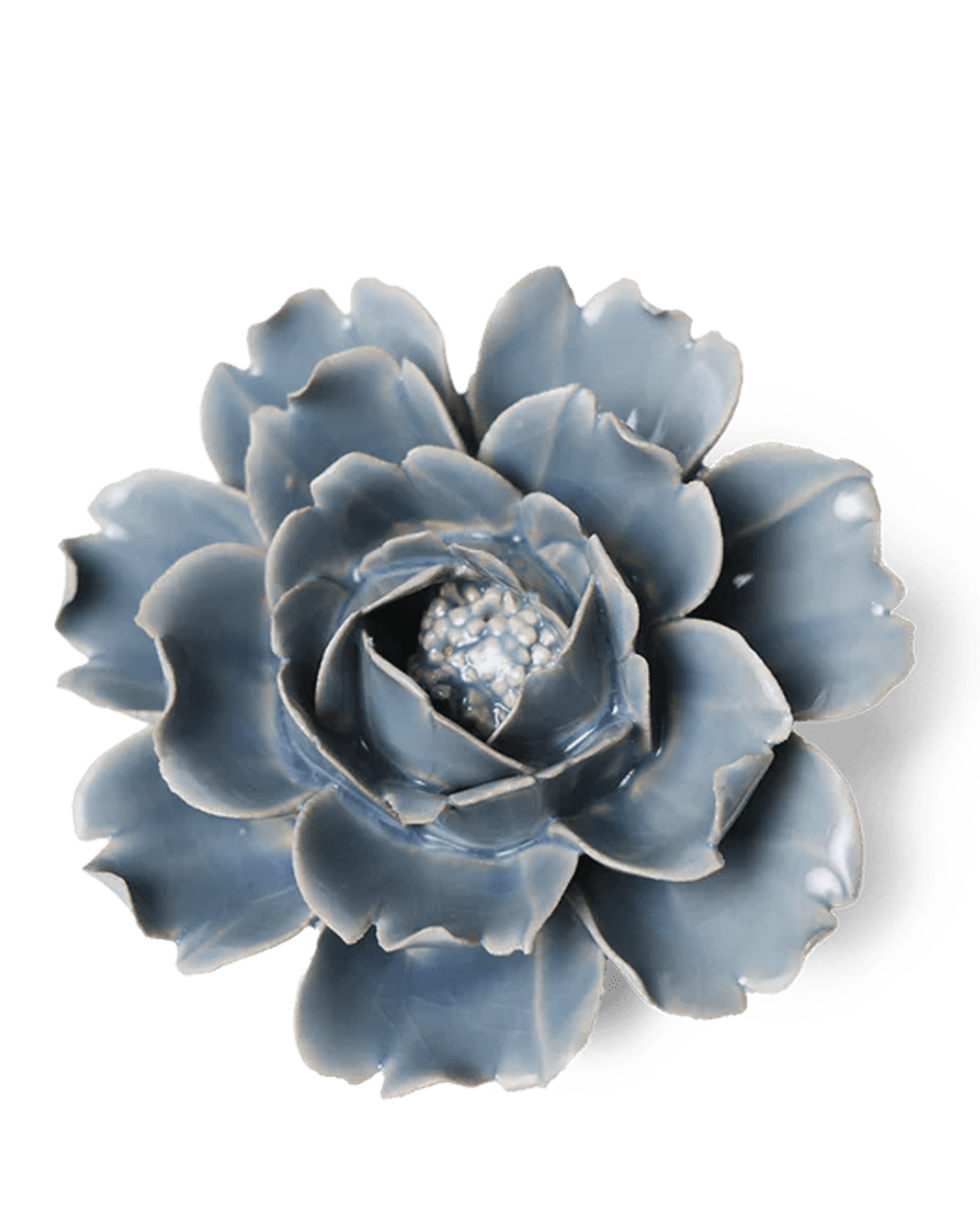 English Garden 08 Pastel Blue Rose - Chive UK