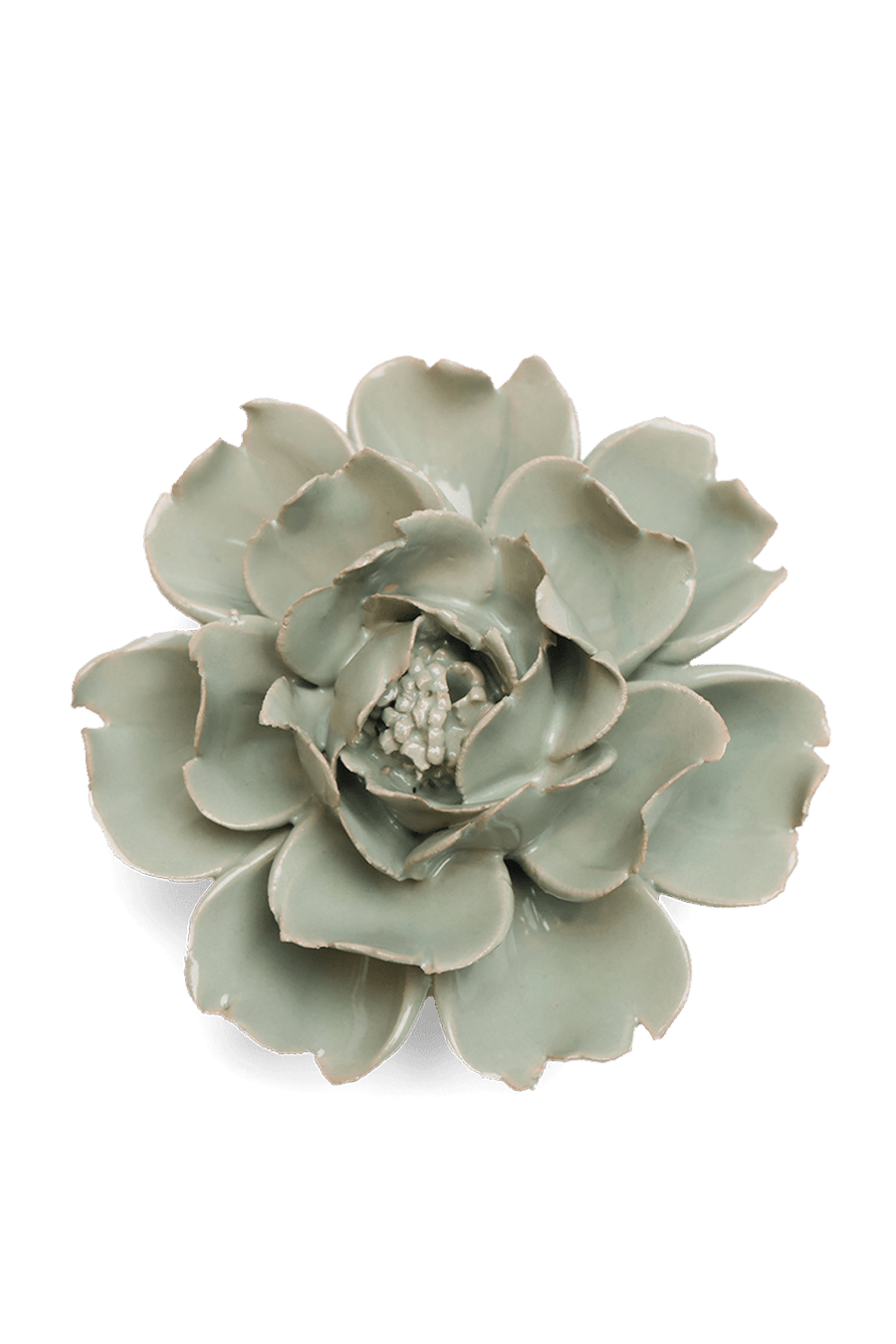 Pistachio Green Rose - Chive UK