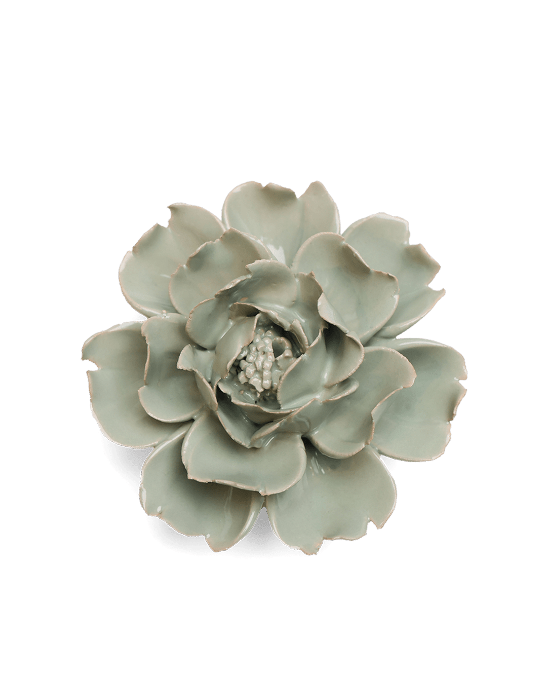 Pistachio Green Rose - Chive UK