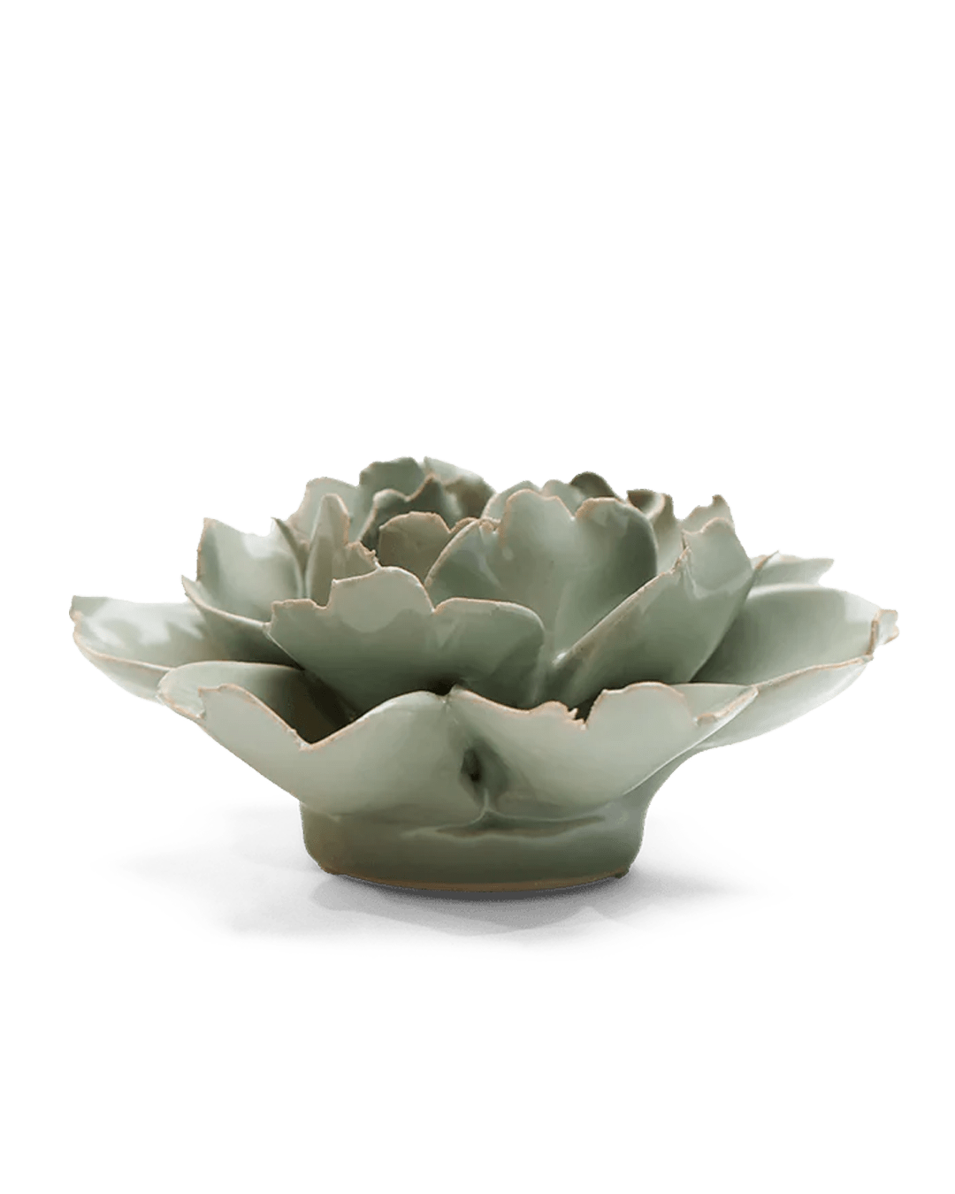 English Garden Ceramic Flower Green Rose - Chive UK