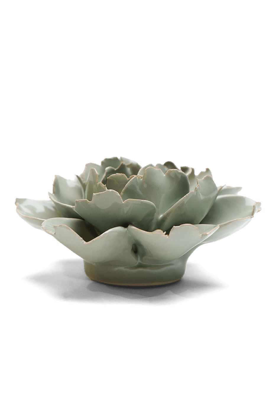 Pistachio Green Rose - Chive UK