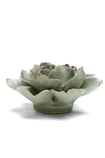 Pistachio Green Rose - Chive UK