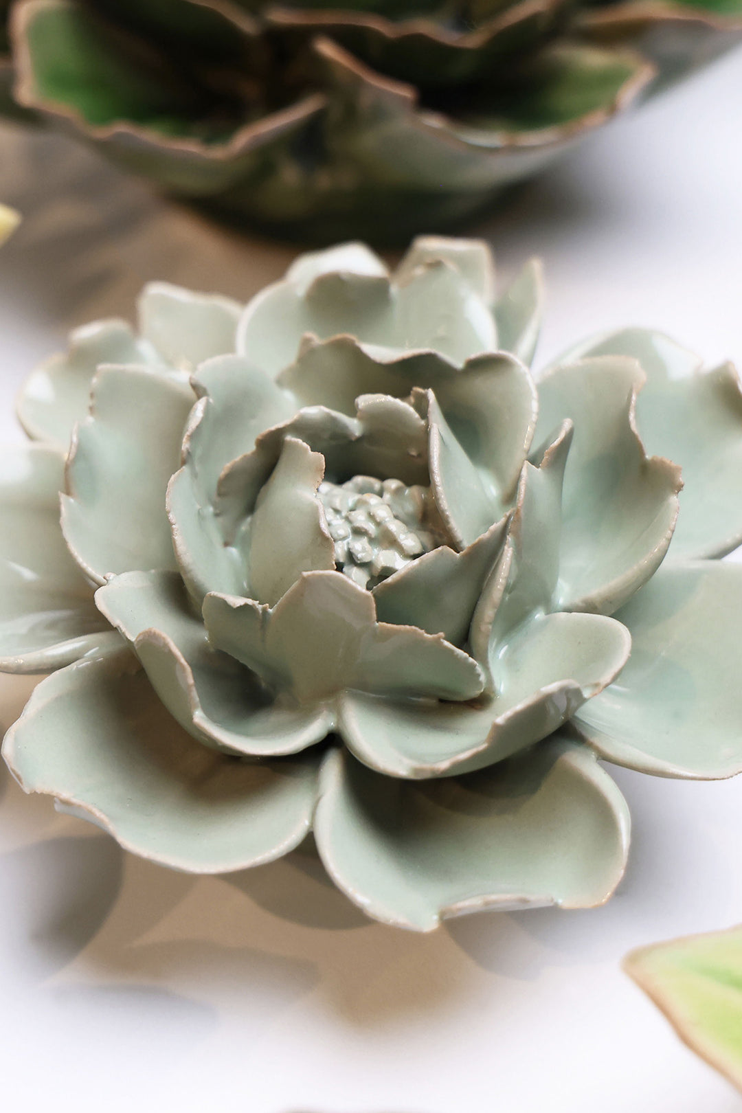 Pistachio Green Rose - Chive UK
