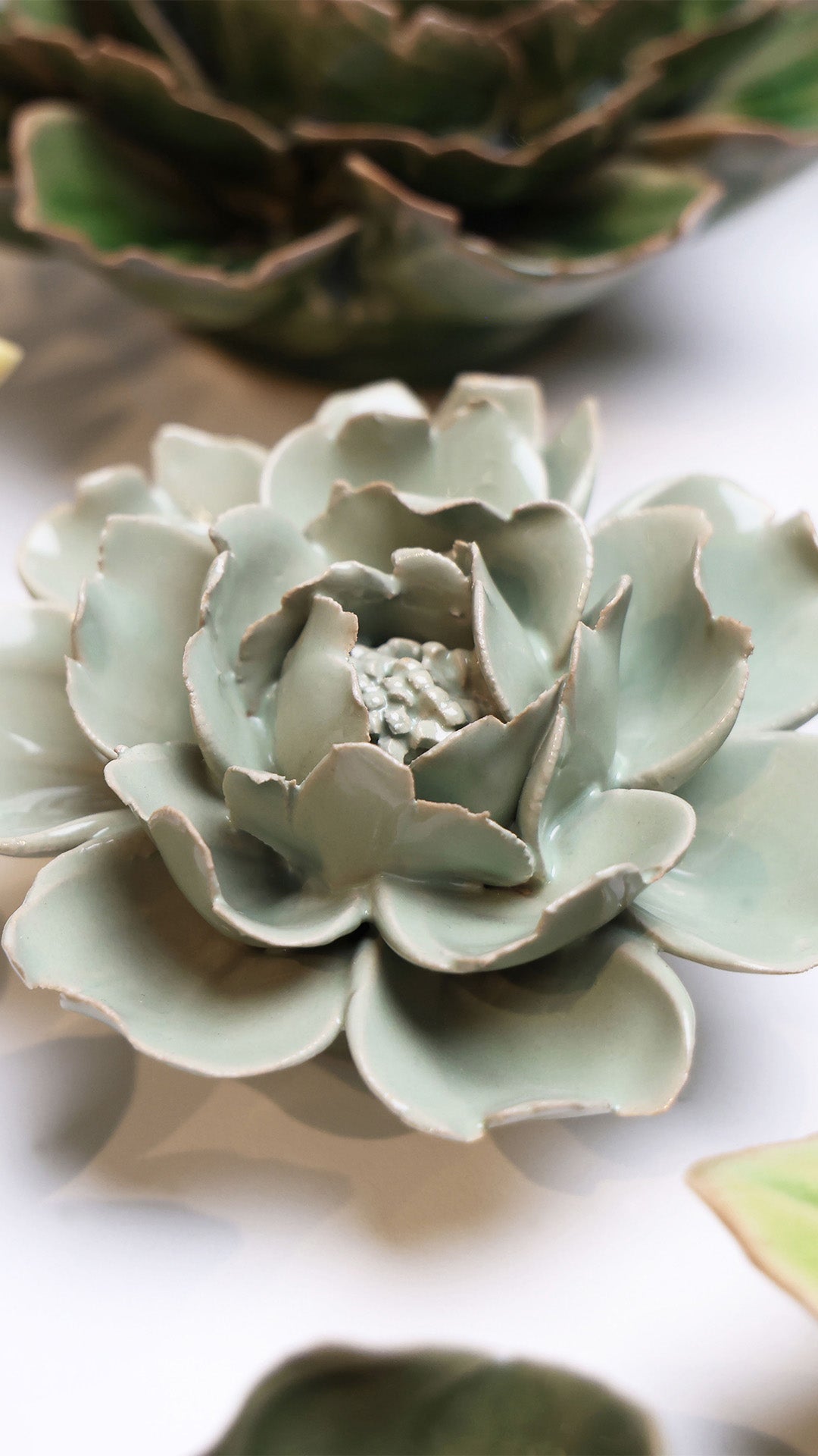 Pistachio Green Rose - Chive UK