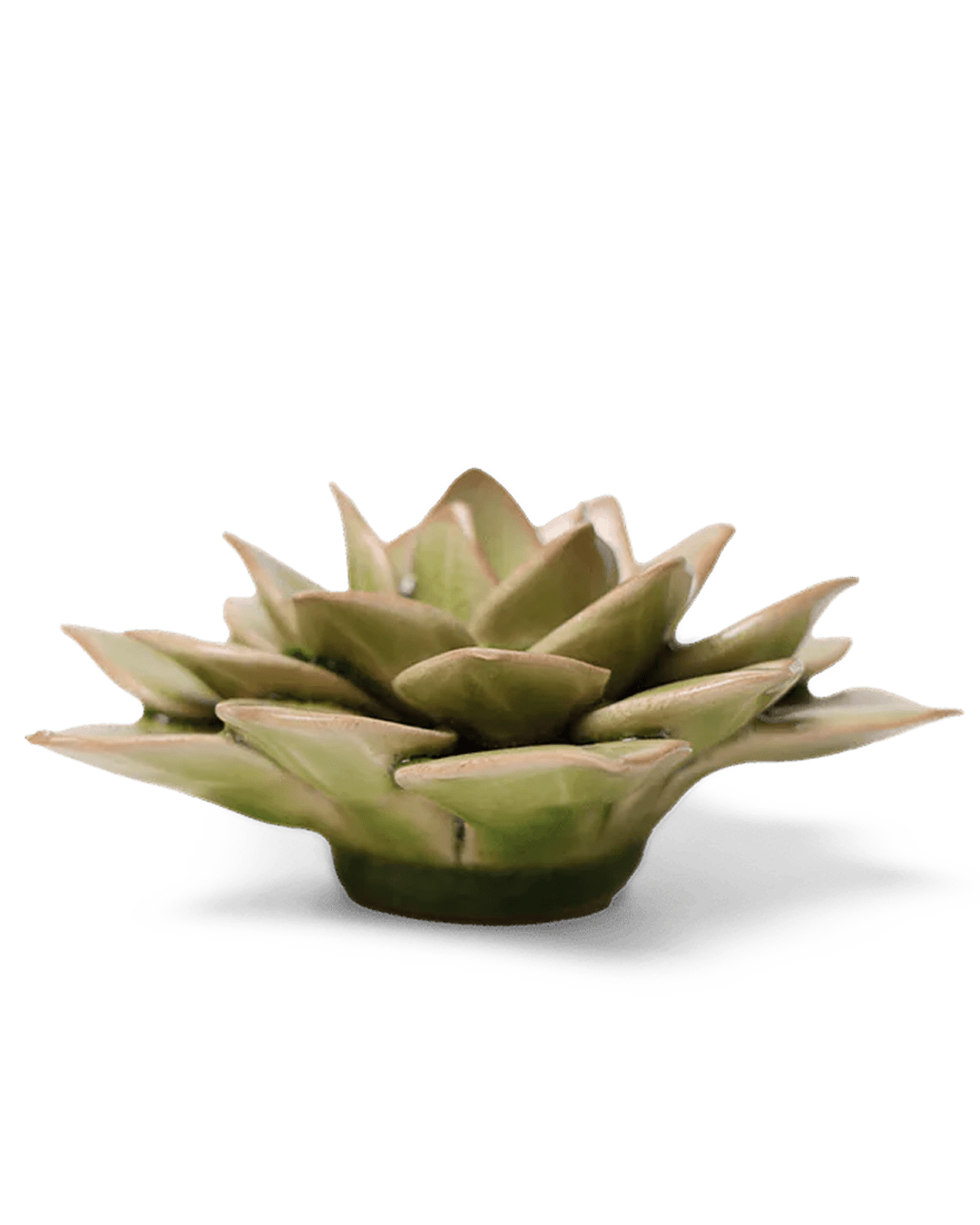 English Garden Ceramic Flower Green Medium Succulent - Chive UK
