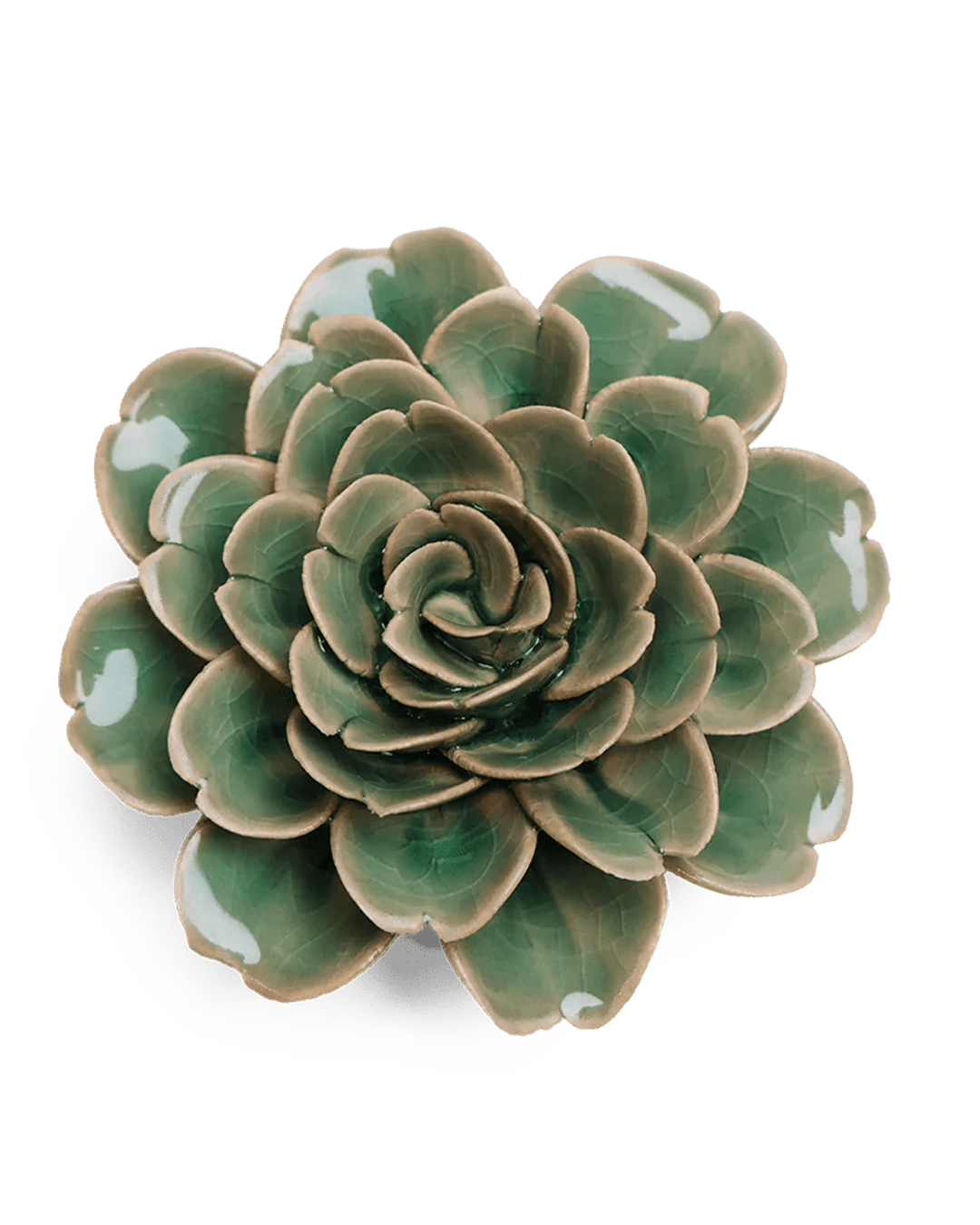 English Garden Ceramic Flower Pastel Green Tea Rose - Chive UK