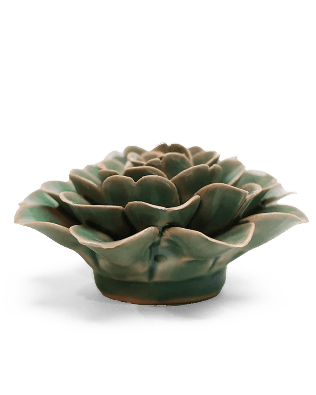 English Garden Ceramic Flower Pastel Green Tea Rose - Chive UK