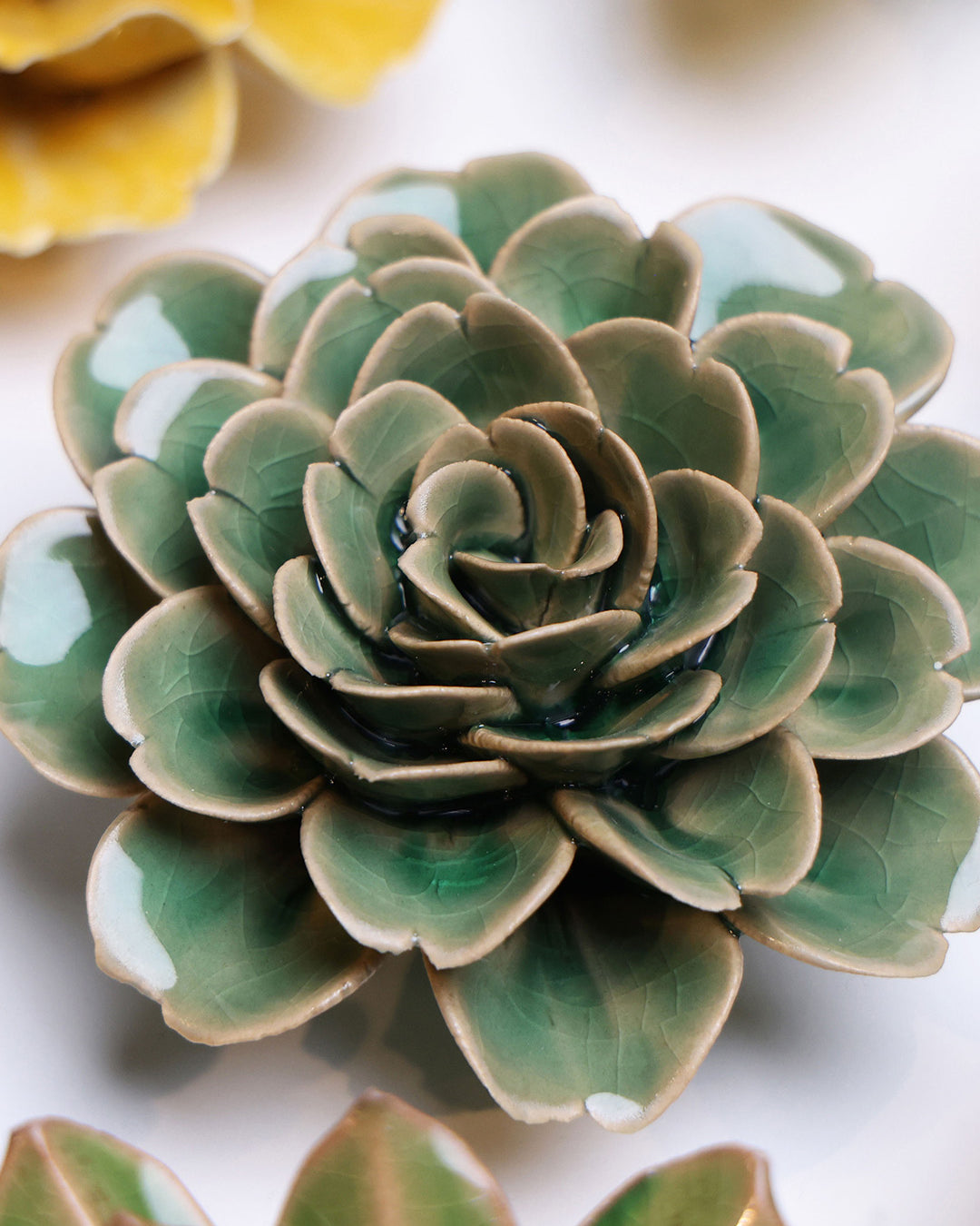 Jungle Green Tea Rose - Chive UK