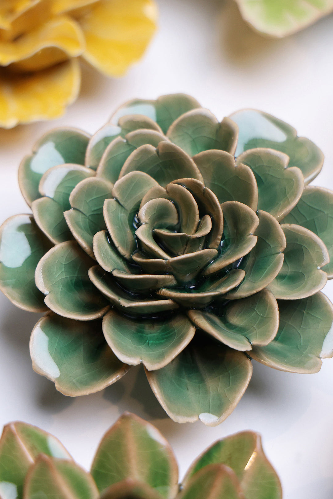 Jungle Green Tea Rose - Chive UK