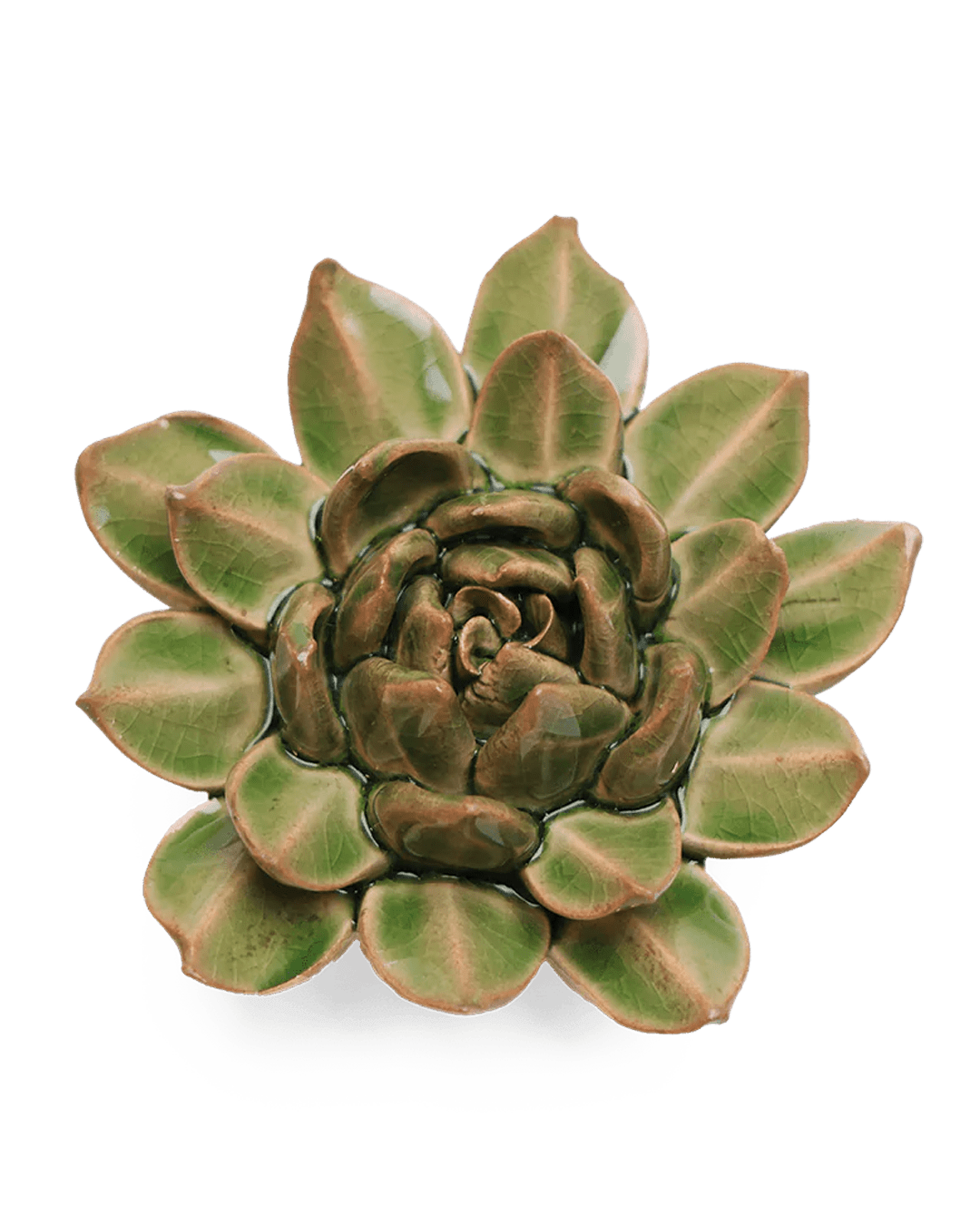 English Garden Ceramic Flower Green Small Succulent - Chive UK