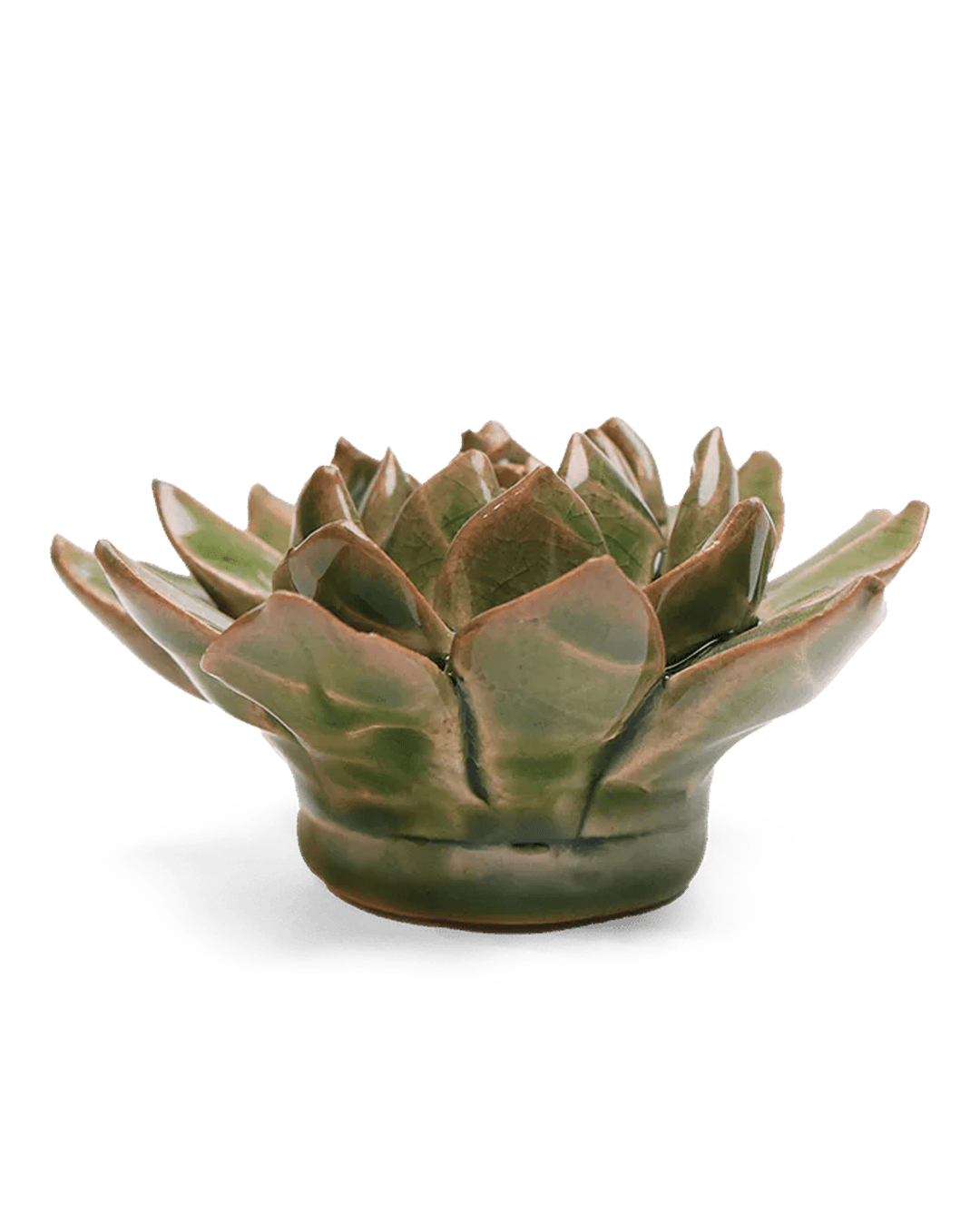 English Garden Ceramic Flower Green Small Succulent - Chive UK