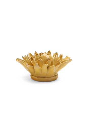 Buttercup Yellow Chrysanthemum - Chive UK