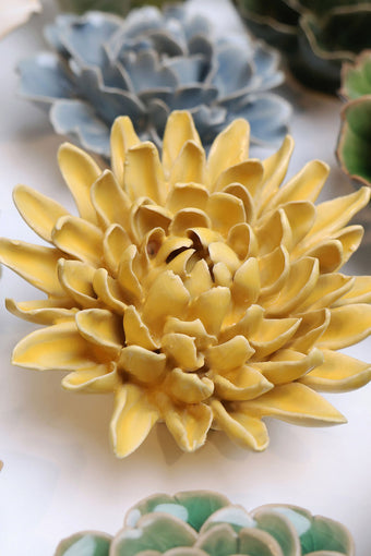 Buttercup Yellow Chrysanthemum - Chive UK