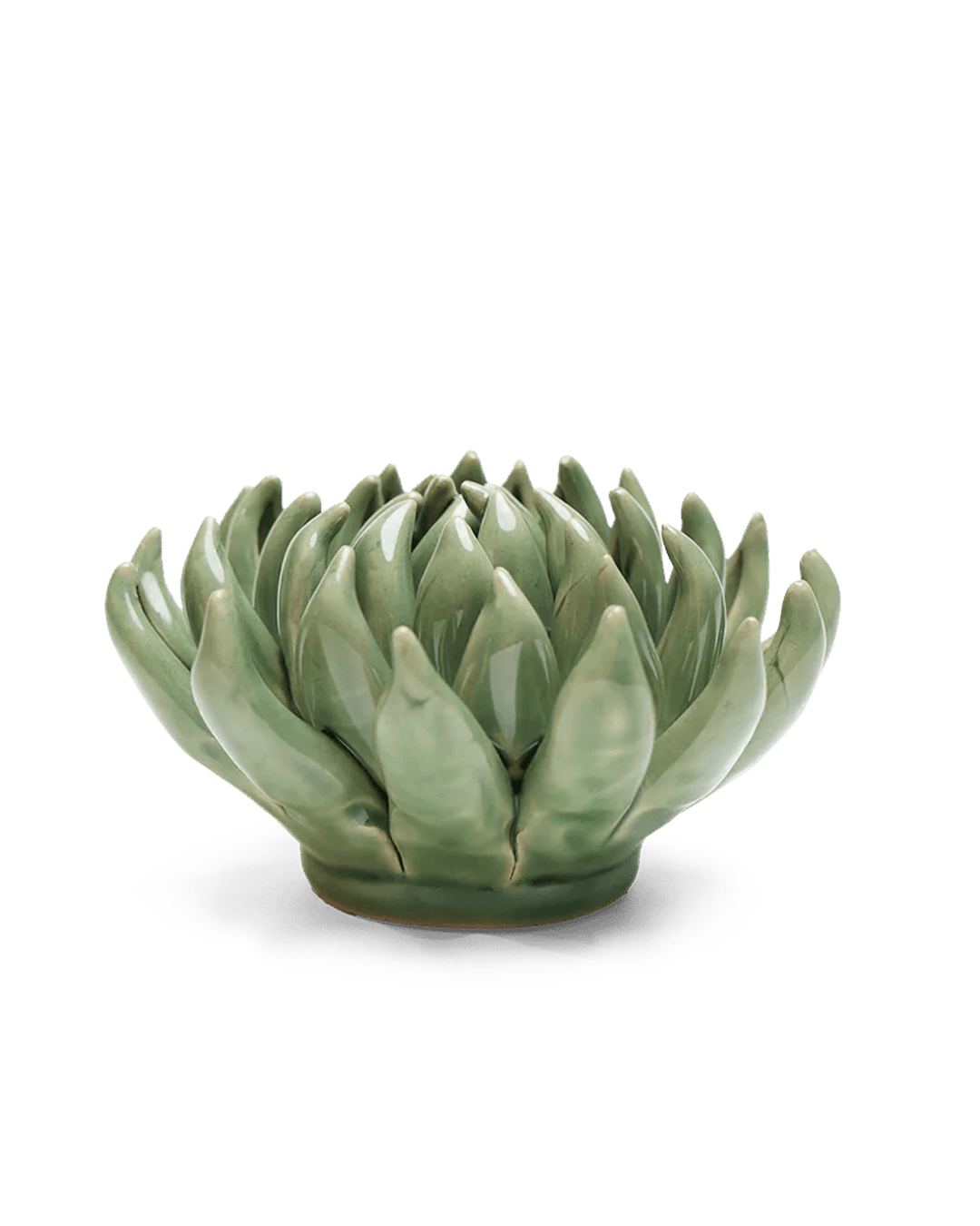 English Garden Ceramic Flower Green Large Succulent - Chive UK