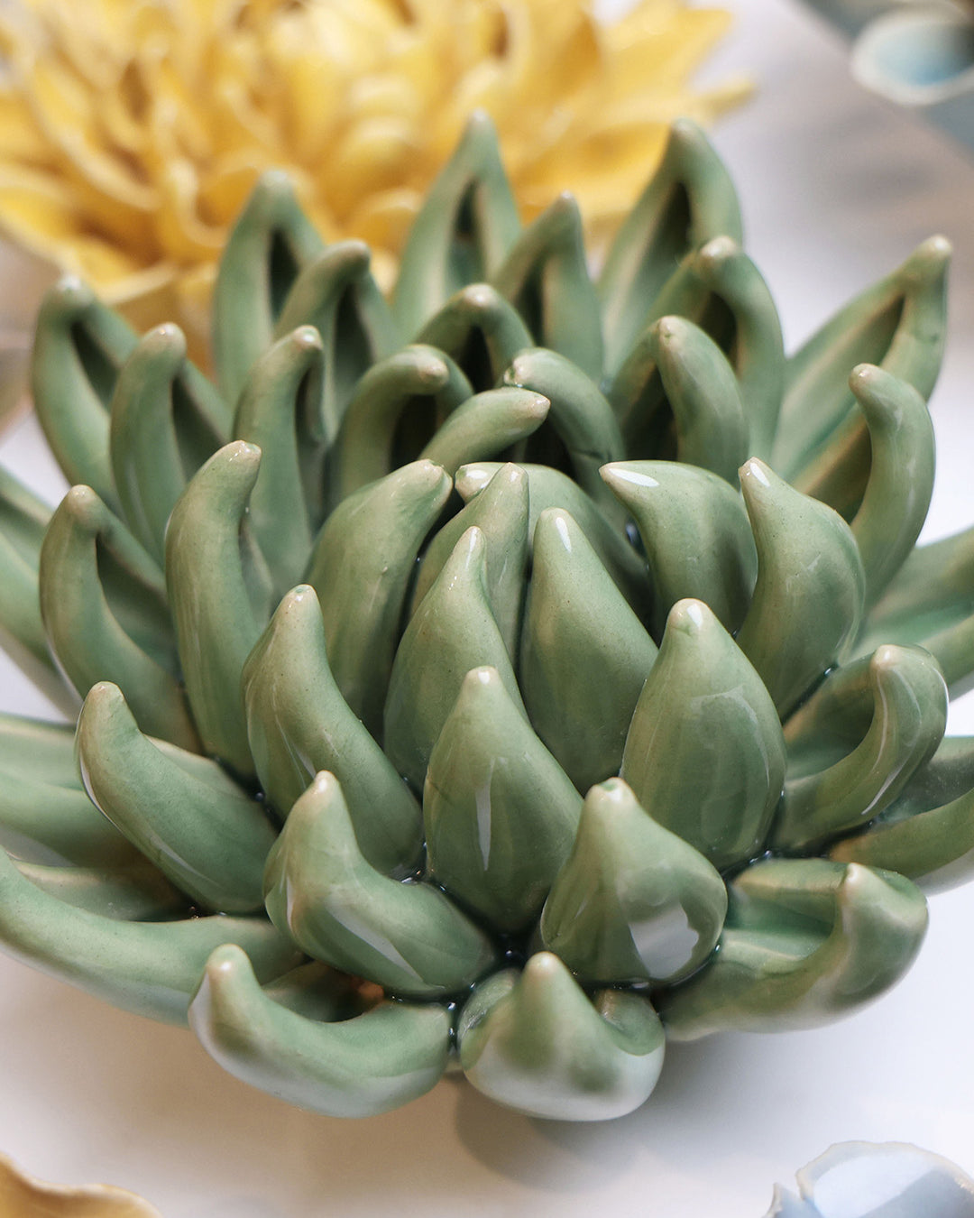 Jade Green Succulent - Chive UK