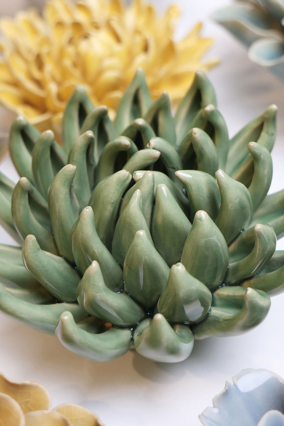 Jade Green Succulent - Chive UK