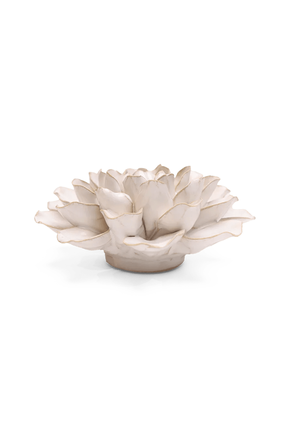 Ivory European Water Lily - Chive UK