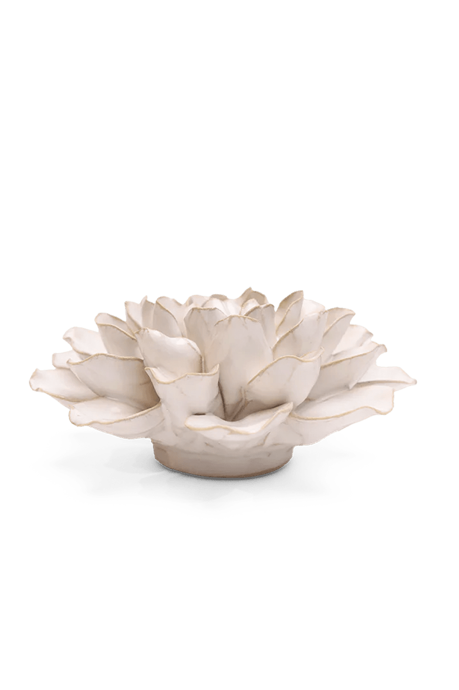 Ivory European Water Lily - Chive UK