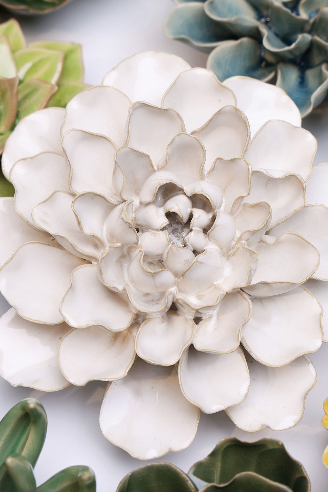 Ivory European Water Lily - Chive UK