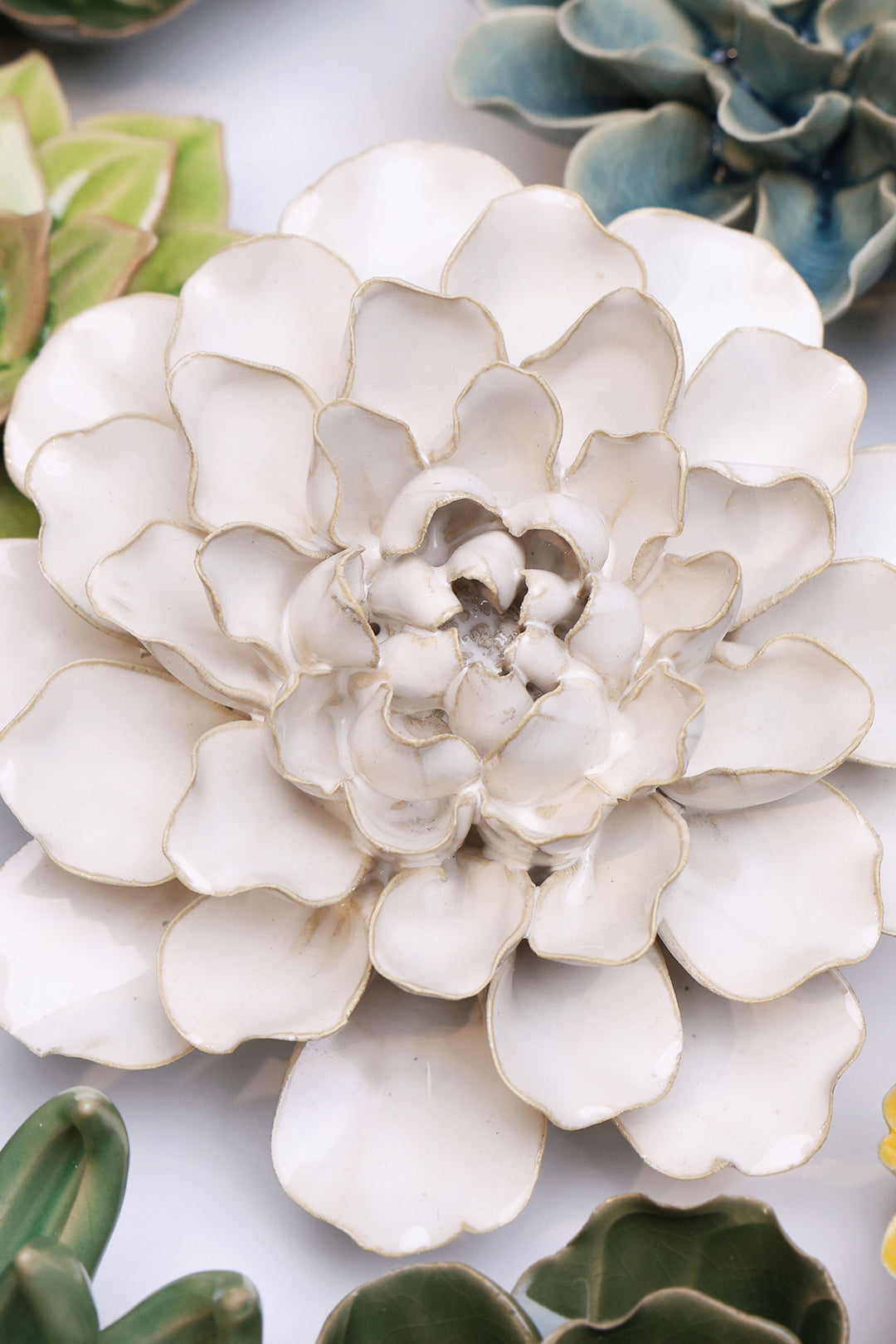 Ivory European Water Lily - Chive UK