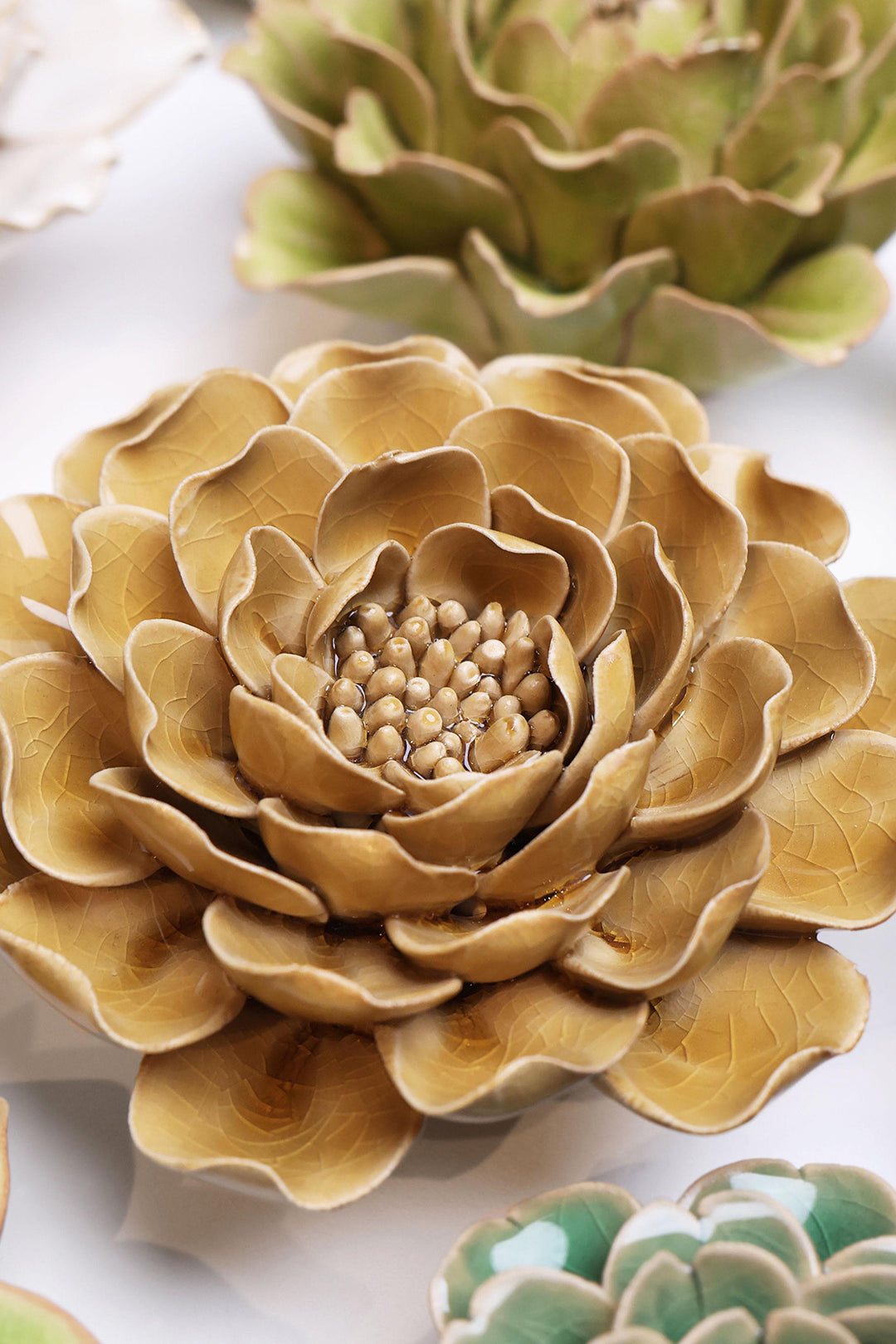 Caramel Charm Peony - Chive UK