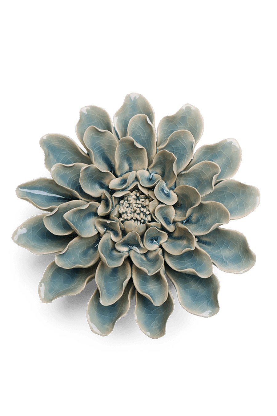 Powder Blue Aphrodite Dahlia - Chive UK