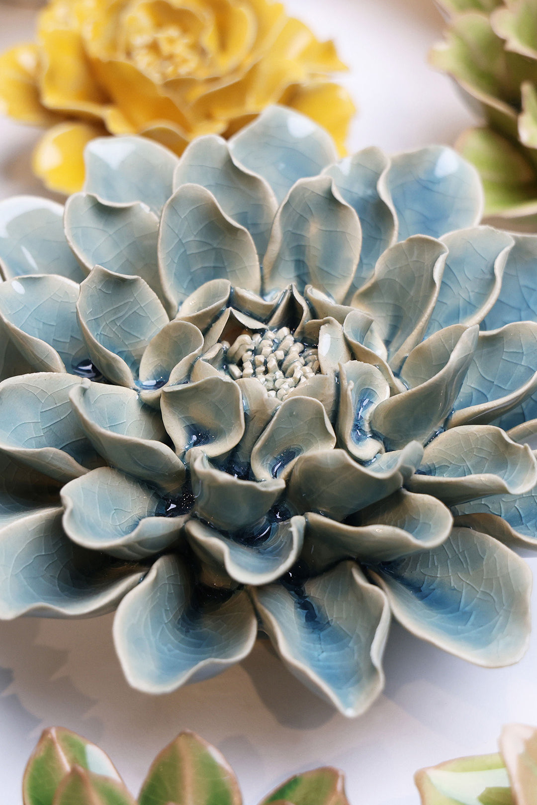 Powder Blue Aphrodite Dahlia - Chive UK