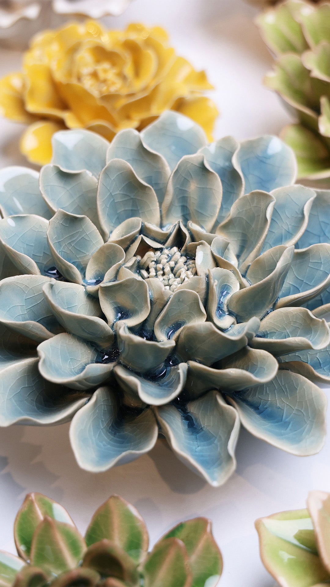 Powder Blue Aphrodite Dahlia - Chive UK