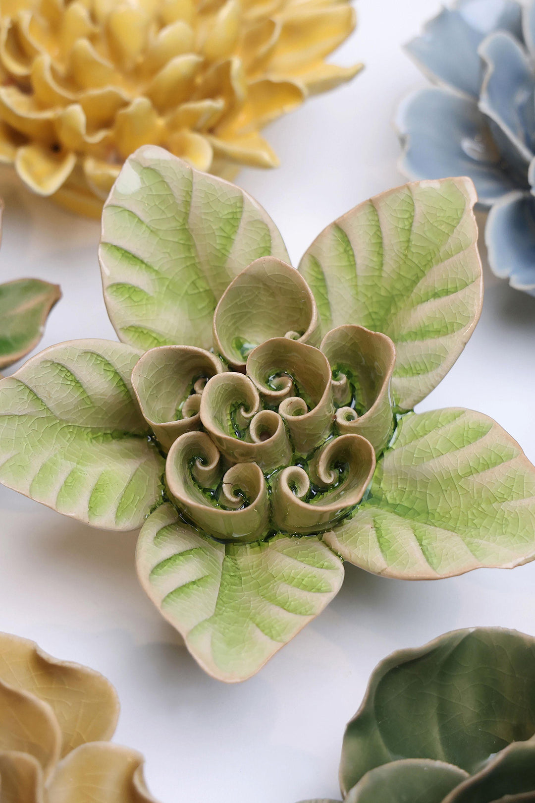 Peridot Green Maiden Lotus - Chive UK