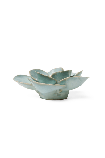 Milk Teal Poppy - Chive UK