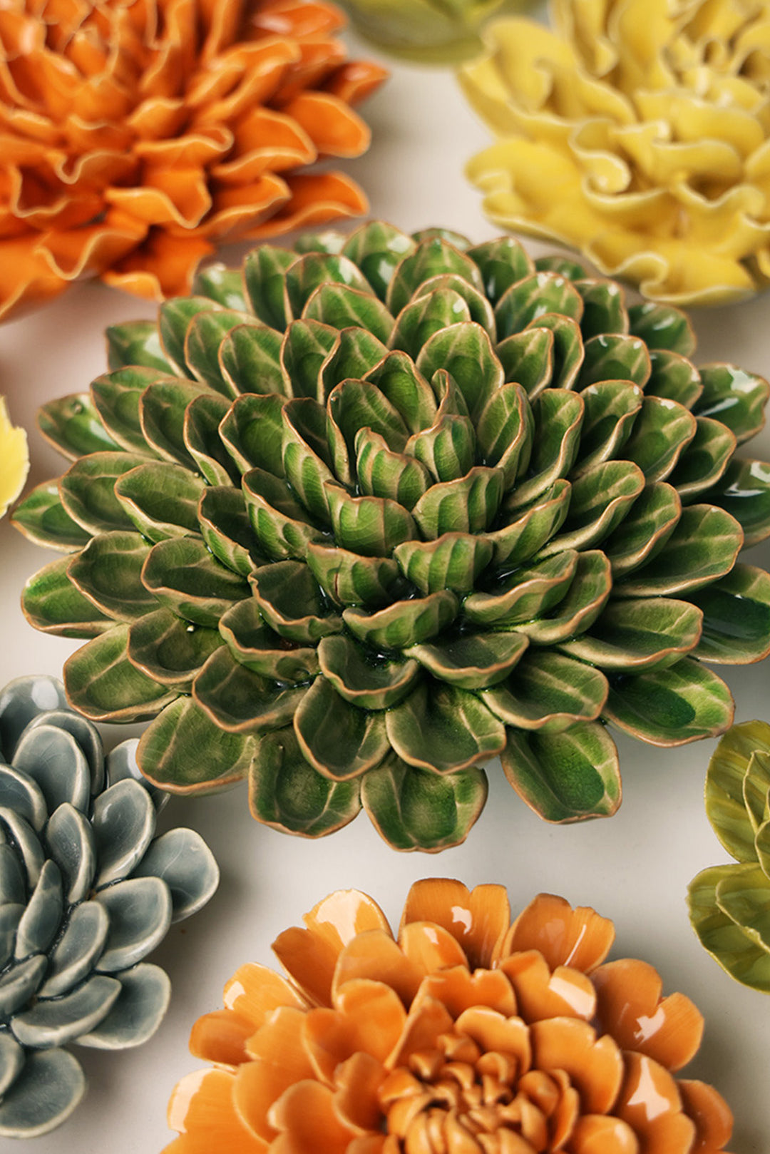 Avocado Green Unicorn Zinnia - Chive UK