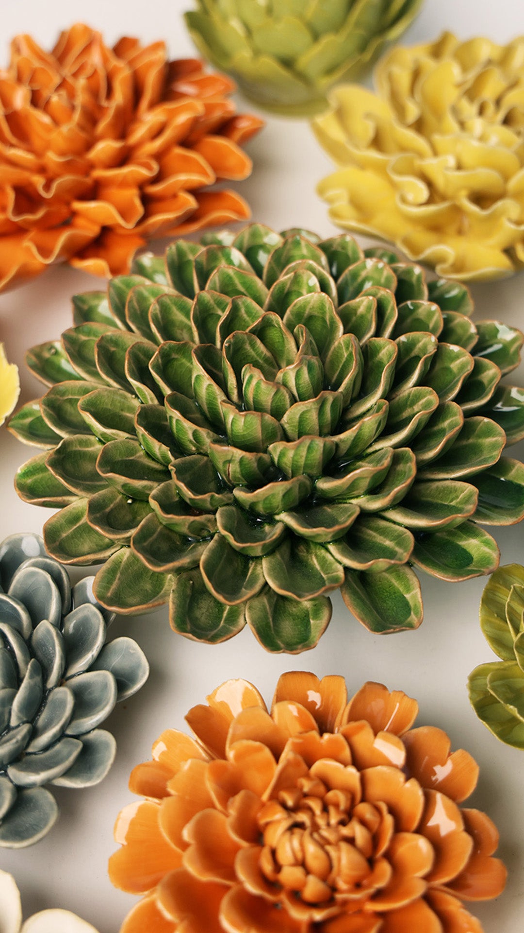 Avocado Green Unicorn Zinnia - Chive UK