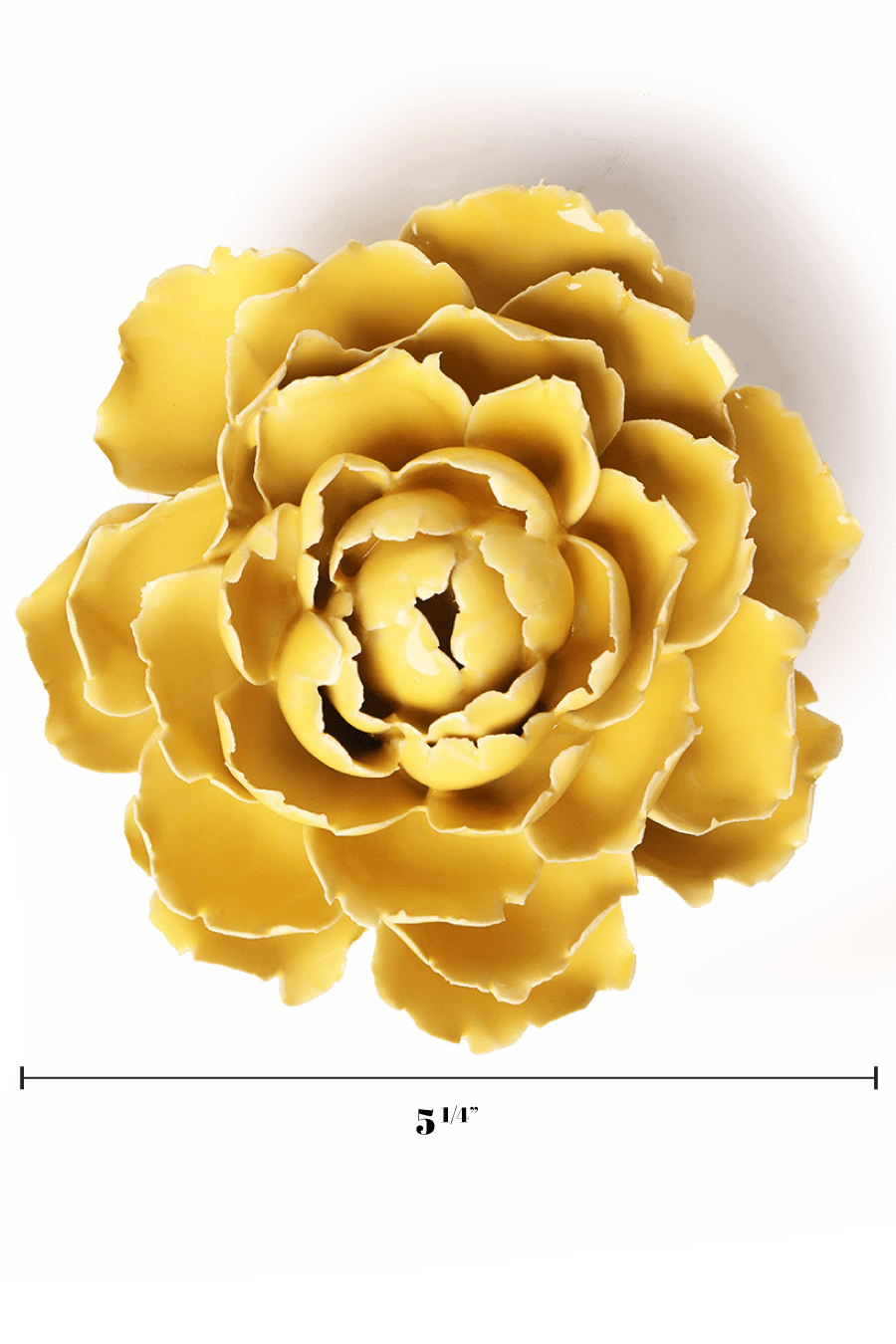 Buttercup Yellow Gay Paree Peony - Chive UK