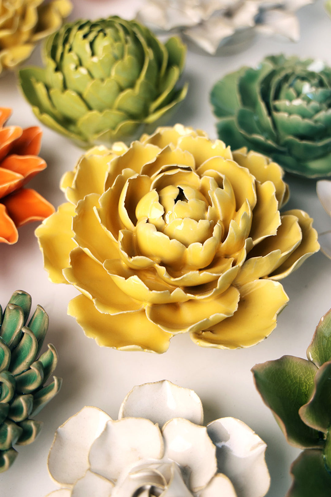 Buttercup Yellow Gay Paree Peony - Chive UK