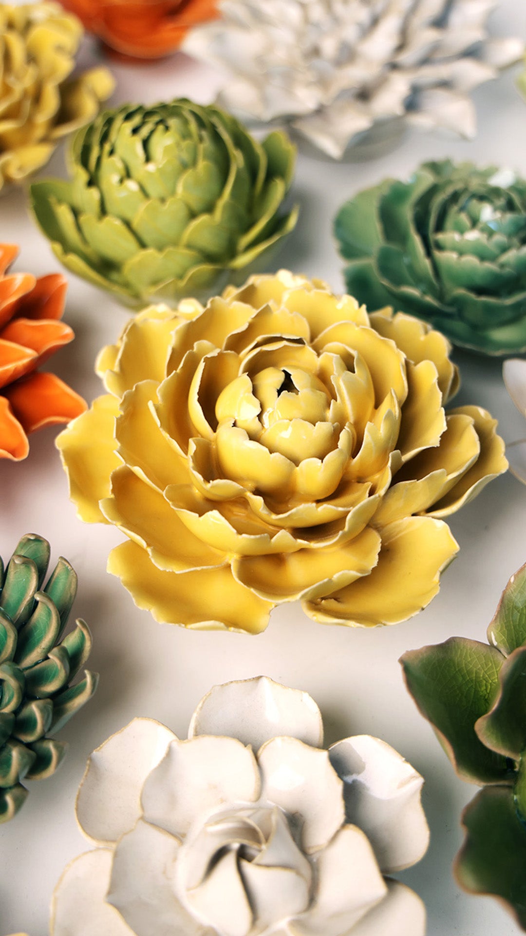 Buttercup Yellow Gay Paree Peony - Chive UK