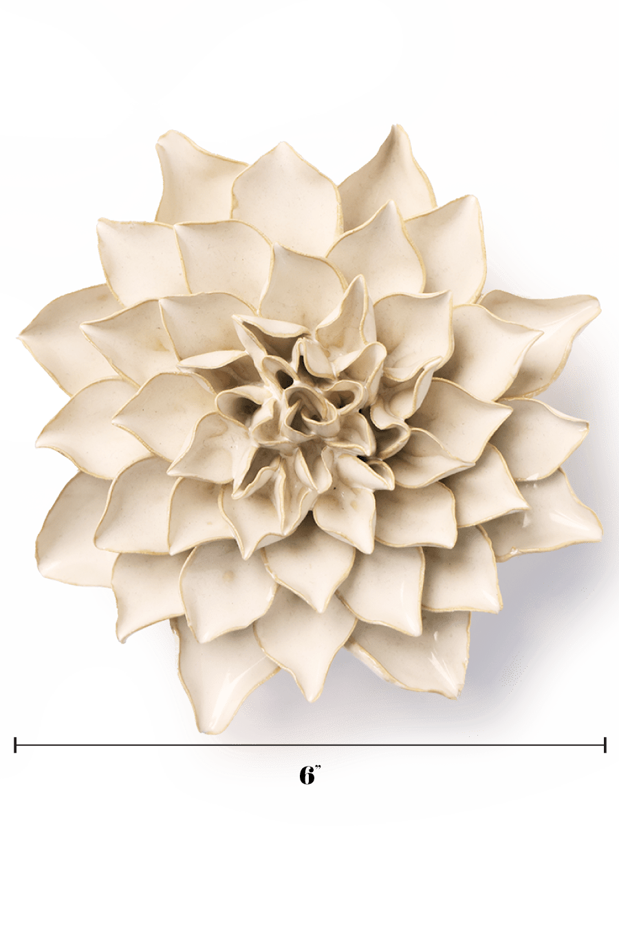 Ivory Autumn Azalea - Chive UK