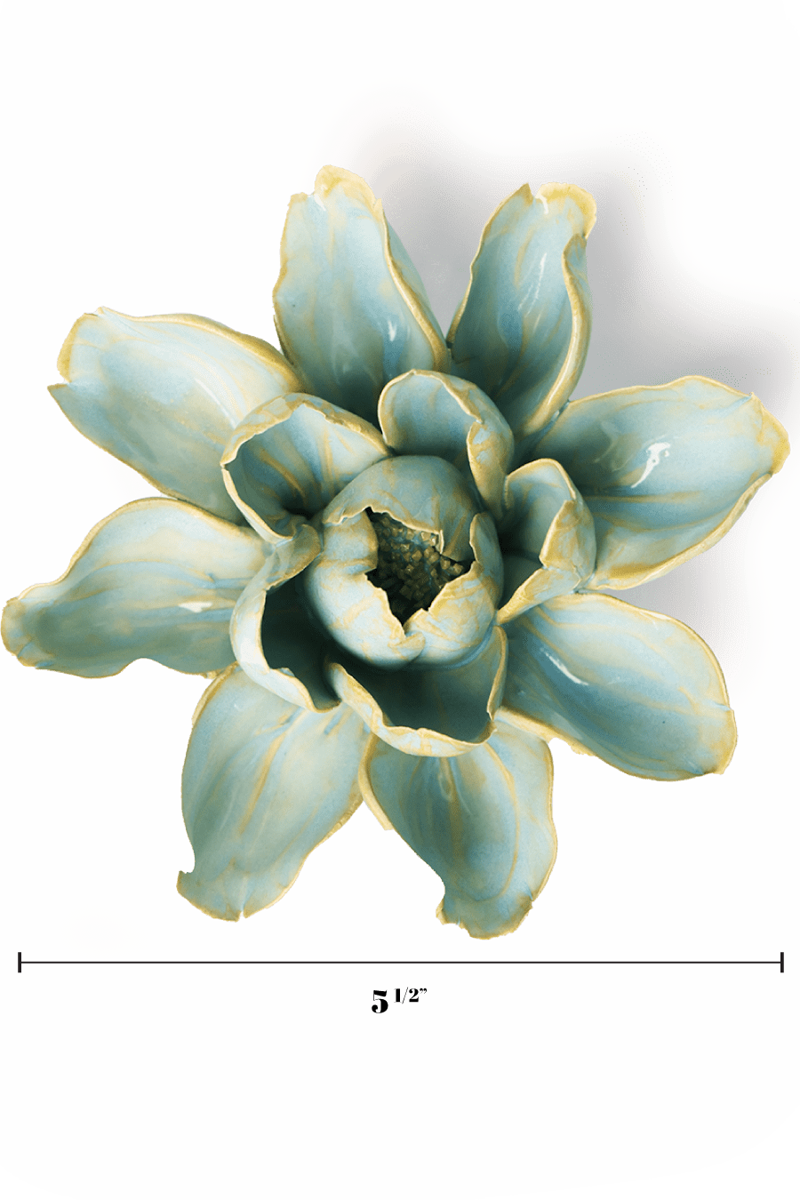 Robin's Egg Blue Aurora Water Lily - Chive UK