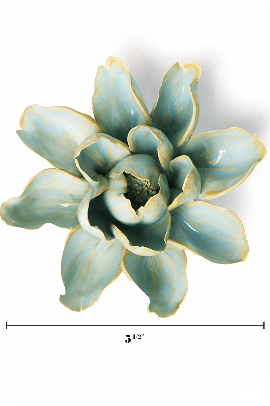 Robin's Egg Blue Aurora Water Lily - Chive UK