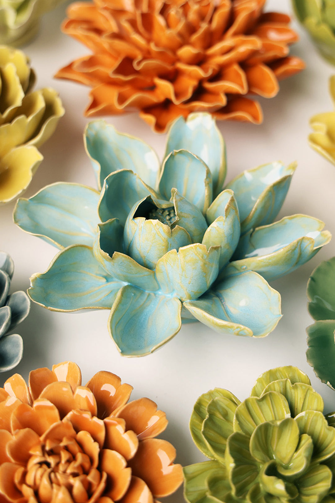 Robin's Egg Blue Aurora Water Lily - Chive UK