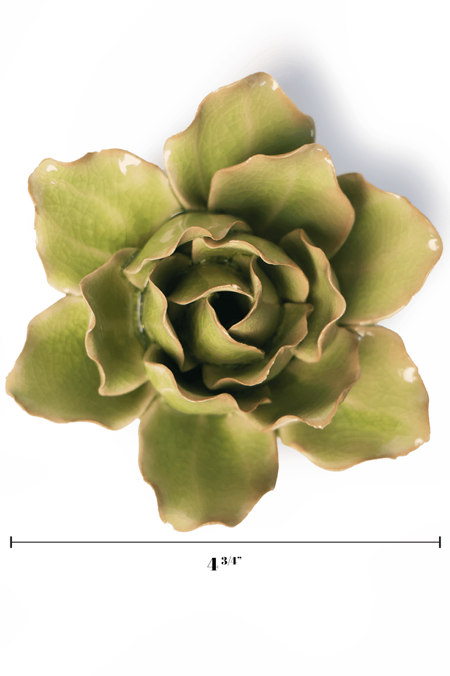 Peridot Stargazer Lily - Chive UK